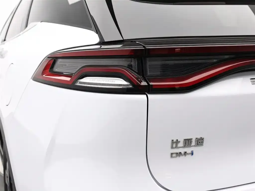 BYD Tang New Energy — фото 5