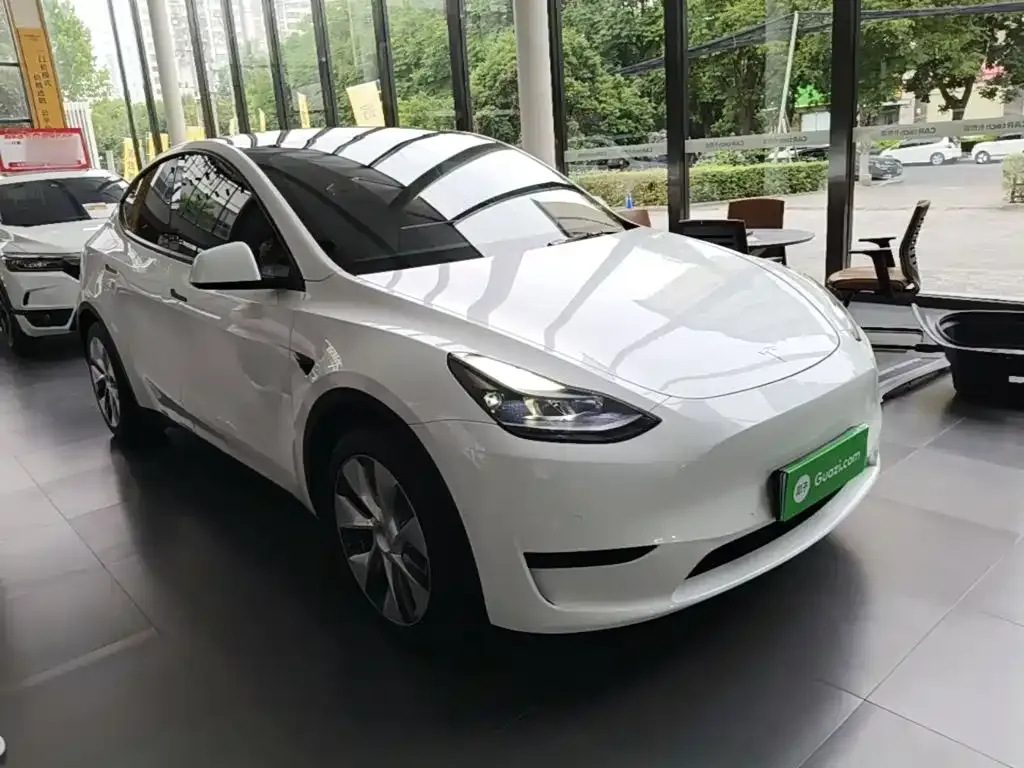Tesla Model Y — фото 6