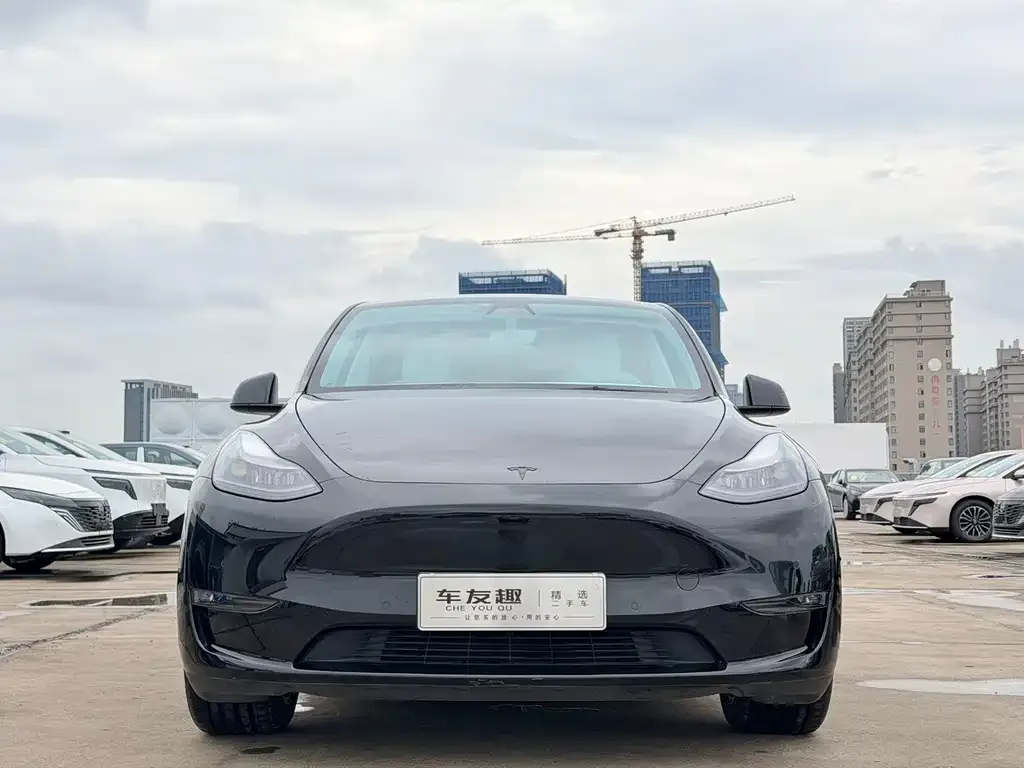 Tesla Model Y — фото 10