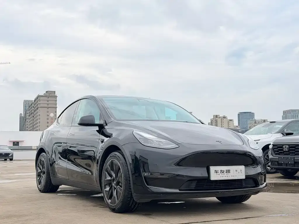 Tesla Model Y — фото 6