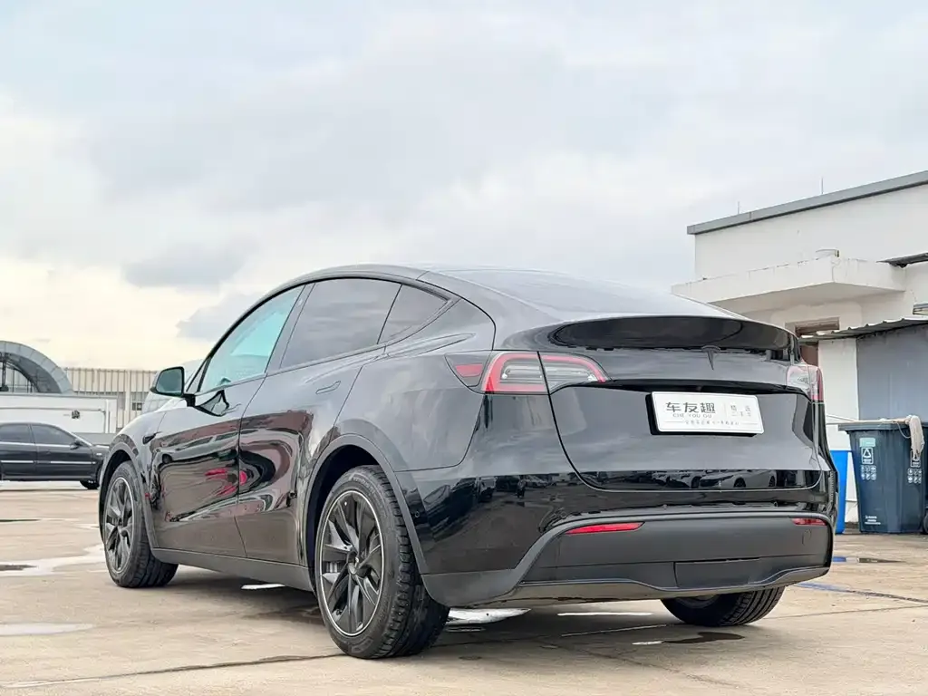 Tesla Model Y — фото 9