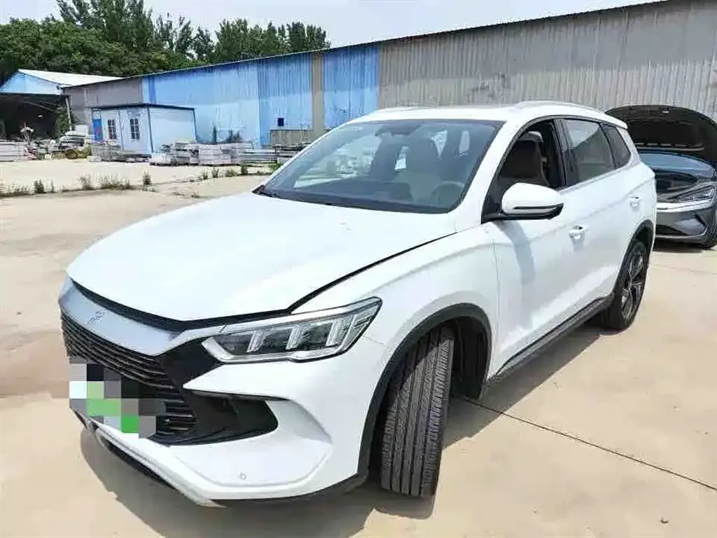 BYD Pro New Energy — фото 4