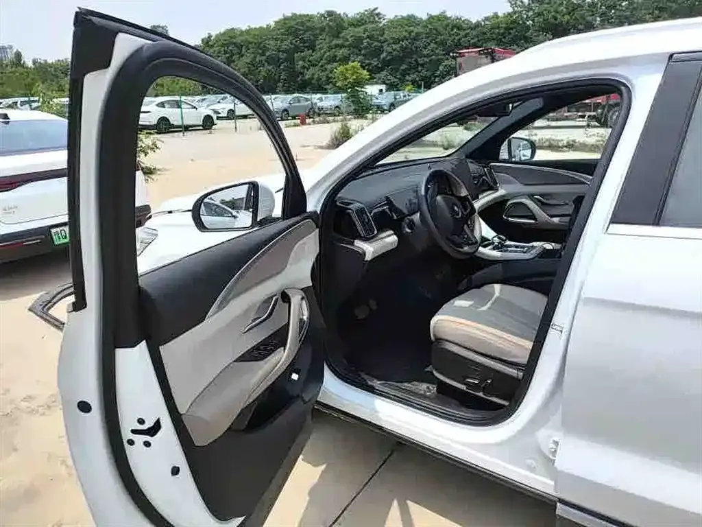 BYD Pro New Energy — фото 6