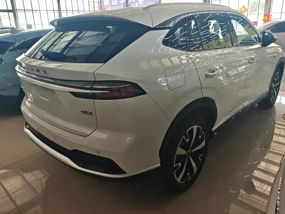 Roewe D5X DMH — фото 10