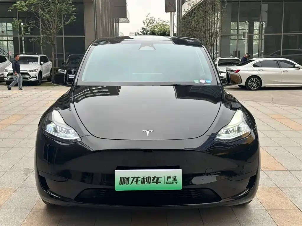 Tesla Model Y — фото 3