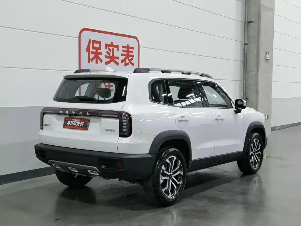 Haval Big Dog 2024 из CN, фото 9