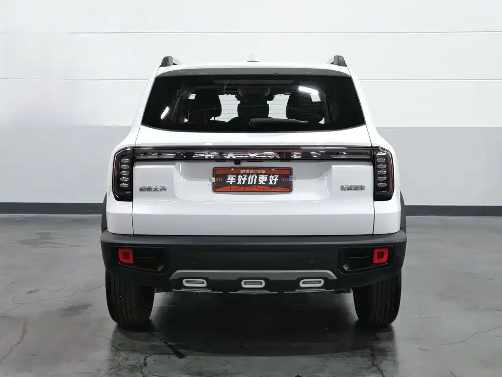 Haval Big Dog 2024 из CN, фото 3