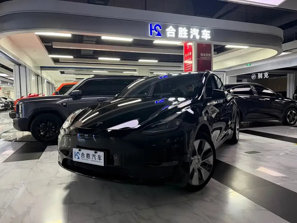 Tesla Model Y — фото 1