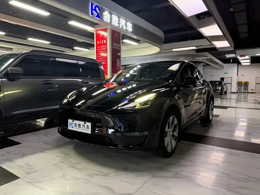 Tesla Model Y — фото 2
