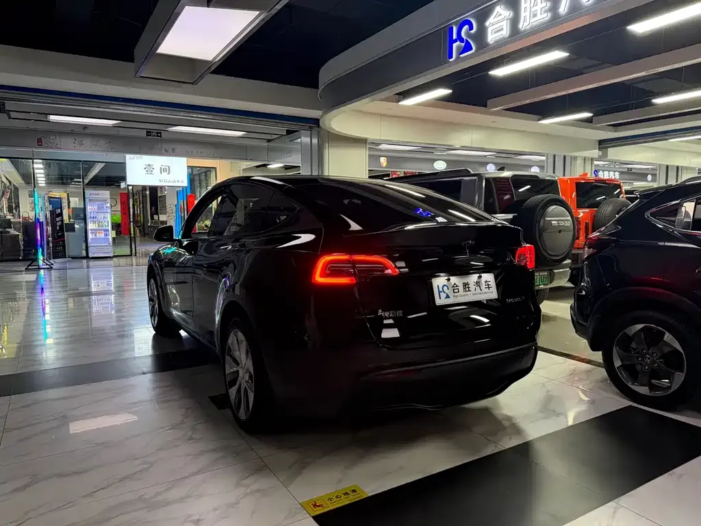 Tesla Model Y — фото 10