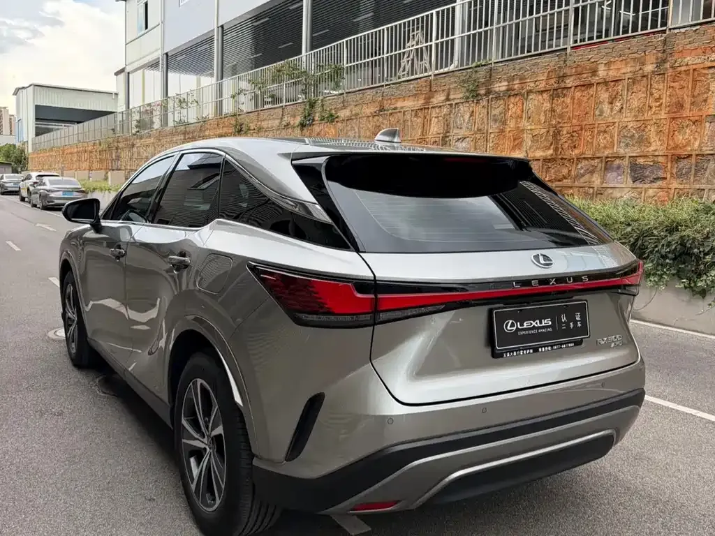 Lexus RX — фото 10