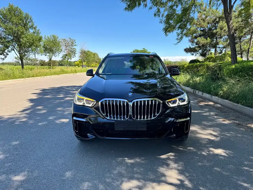 BMW X5 2022 из CN, фото 9