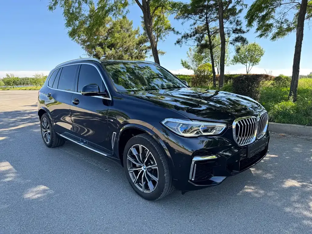 BMW X5 2022 из CN, фото 7