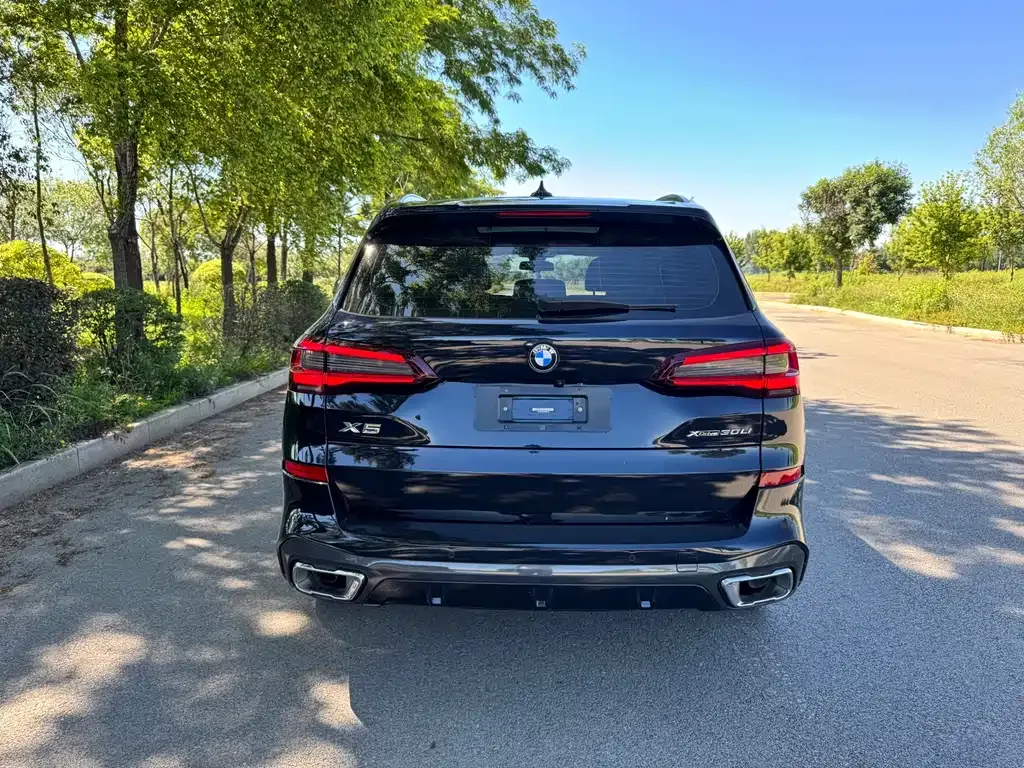 BMW X5 2022 из CN, фото 10
