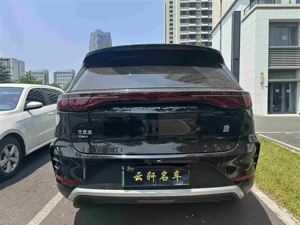 BYD Tang New Energy — фото 8