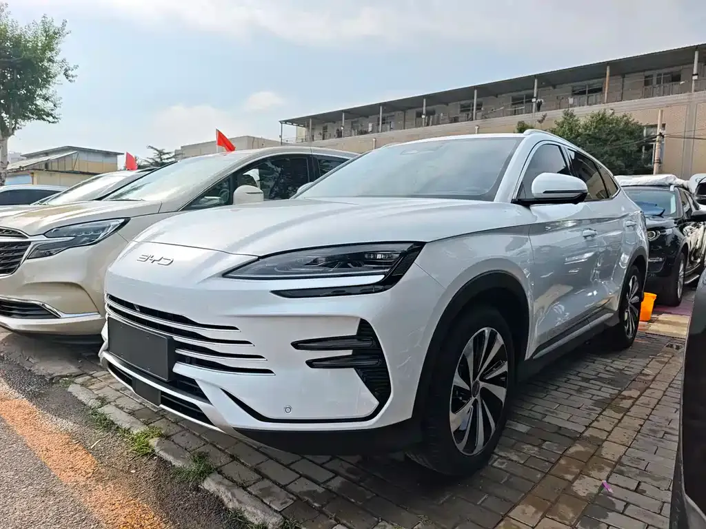 BYD PLUS New Energy — фото 1
