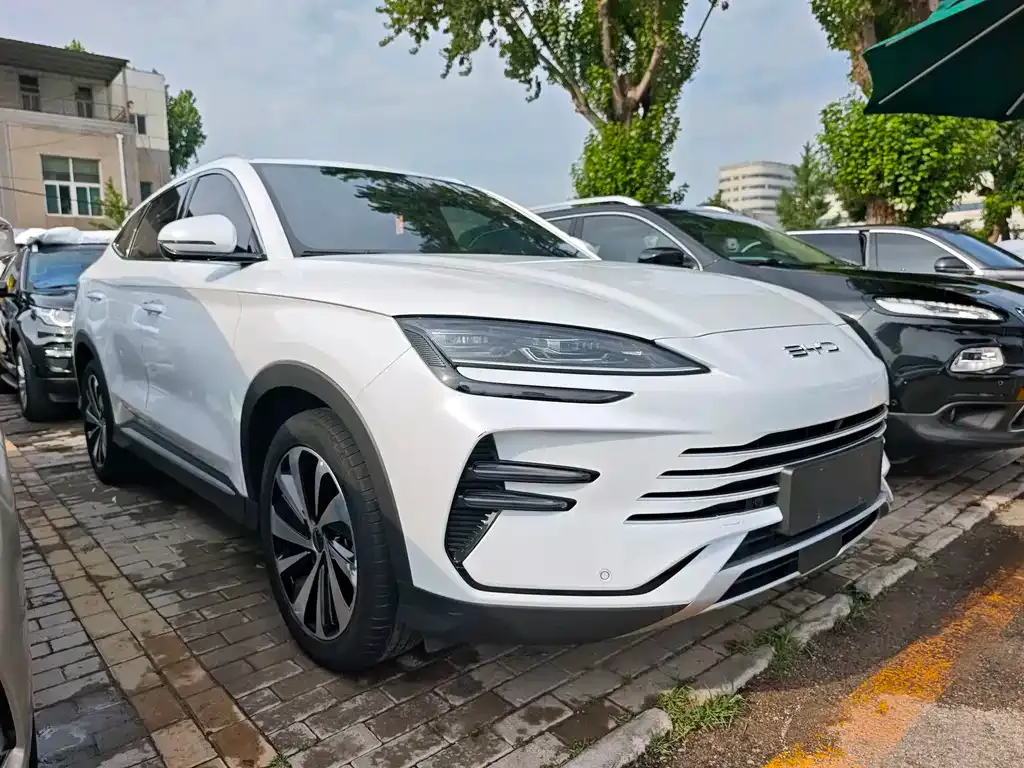BYD PLUS New Energy — фото 6