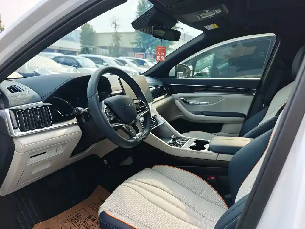 BYD PLUS New Energy — фото 10