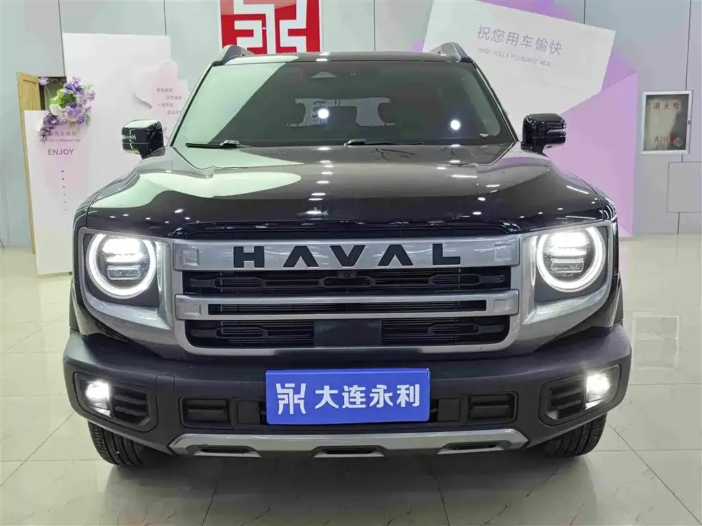 Haval Big Dog — фото 9