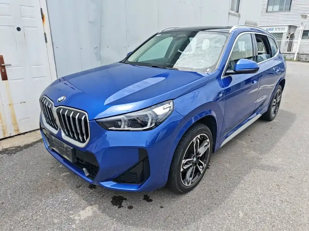 BMW X1 — фото 1