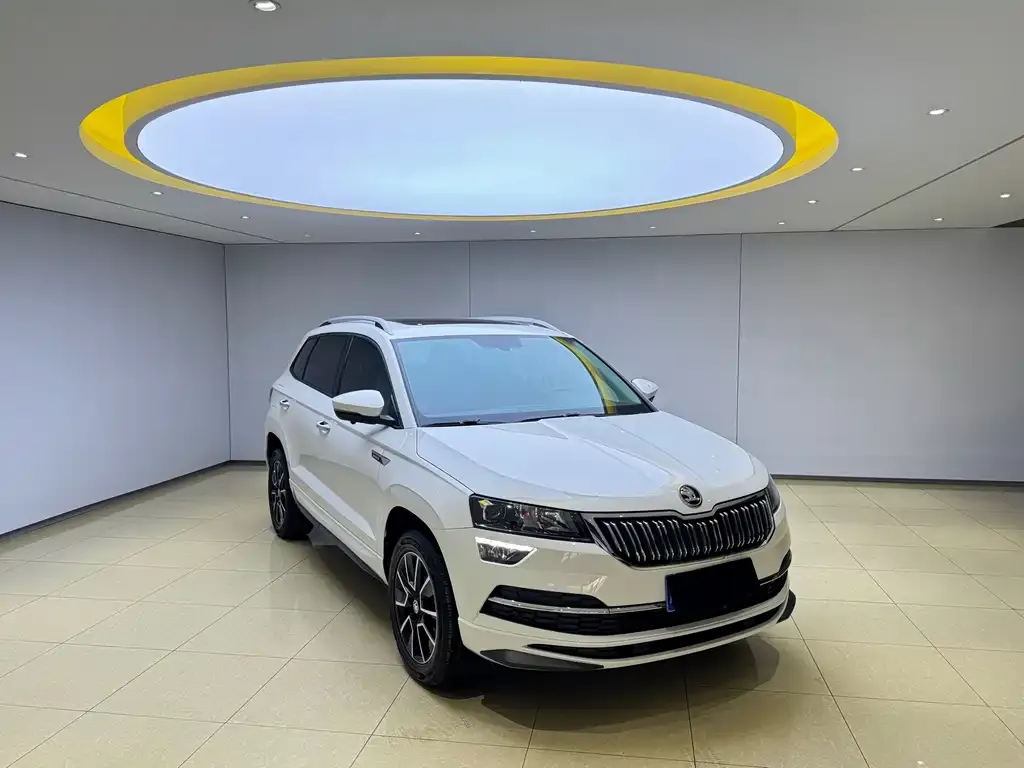 Skoda Karoq — фото 5
