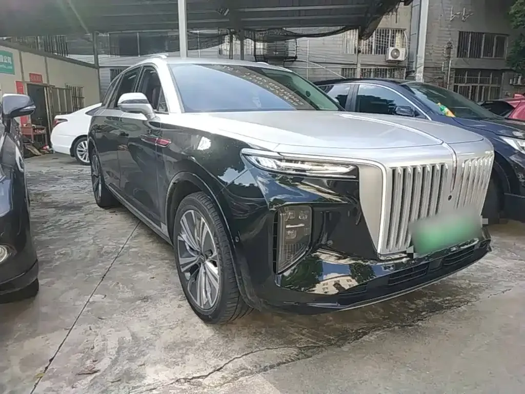 Hongqi E-HS9 — фото 10