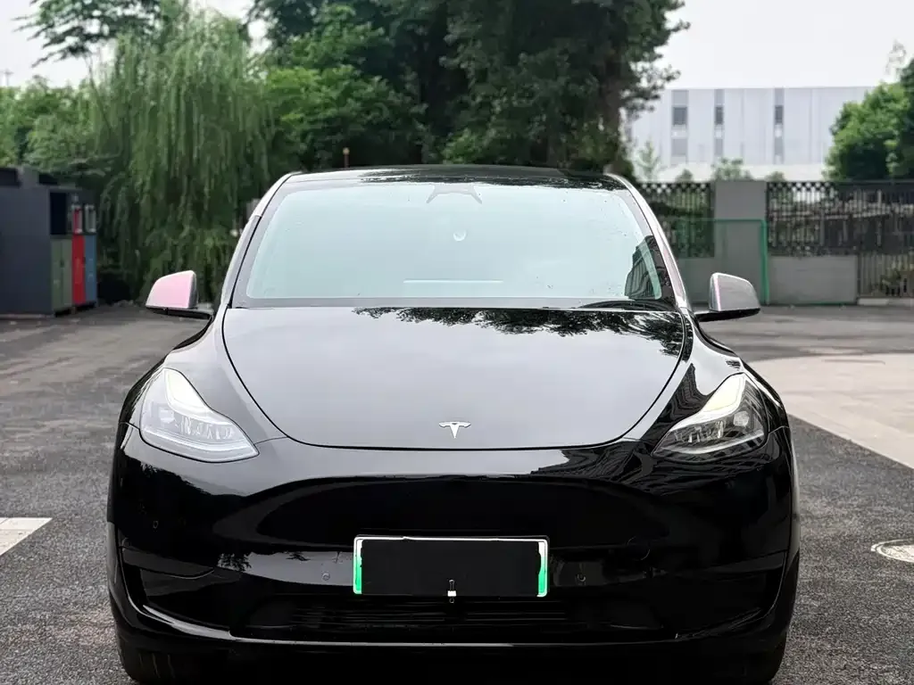 Tesla Model Y — фото 3