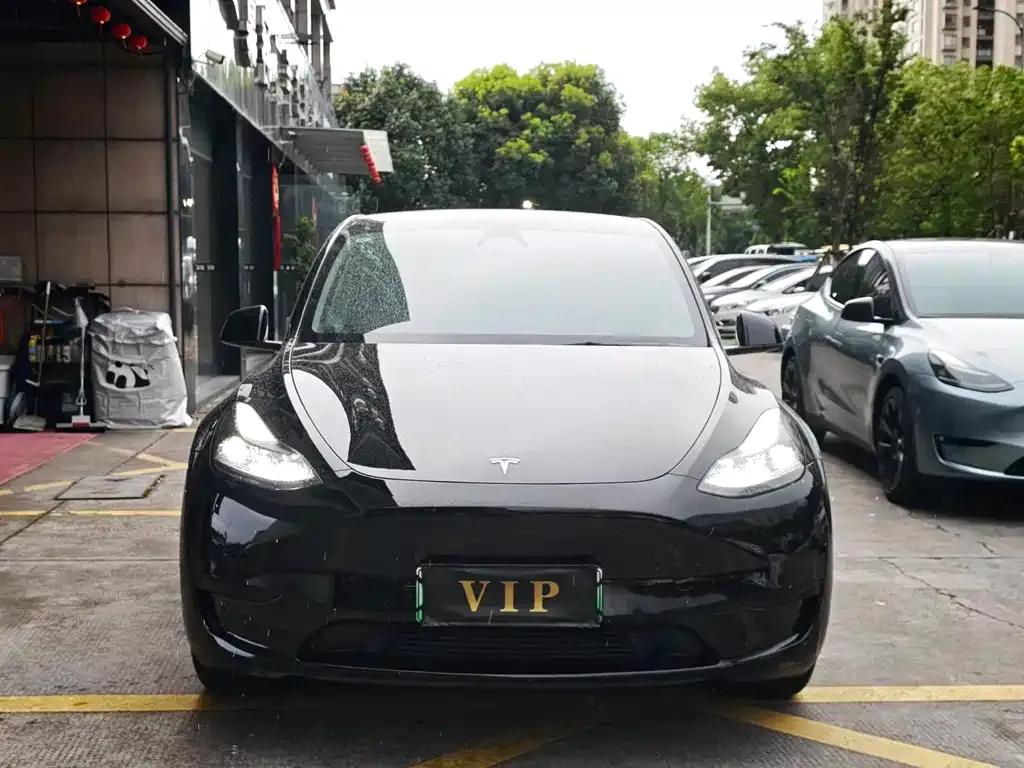Tesla Model Y — фото 4