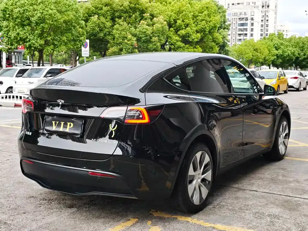 Tesla Model Y — фото 8