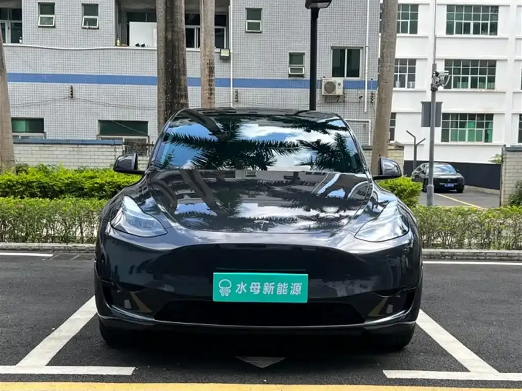 Tesla Model Y — фото 5