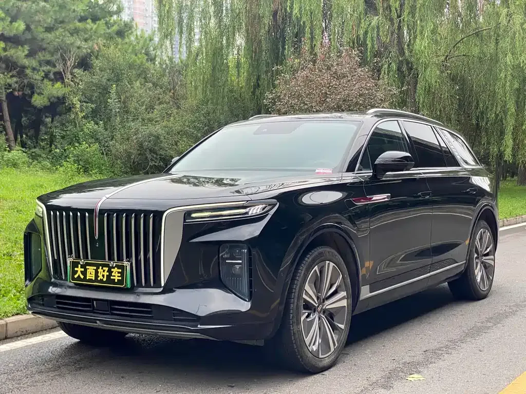 Hongqi E-HS9 — фото 1