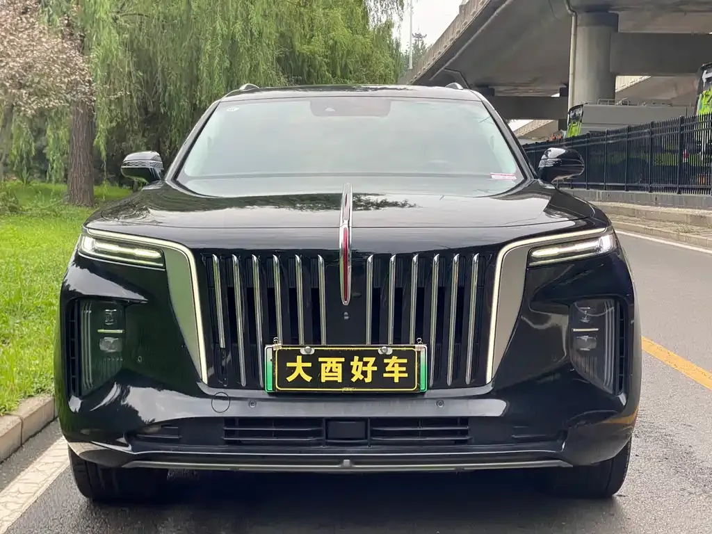 Hongqi E-HS9 — фото 2