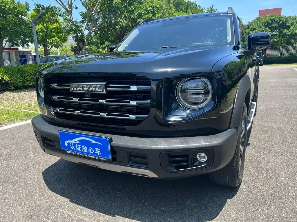 Haval Big Dog 2023 из CN, фото 5