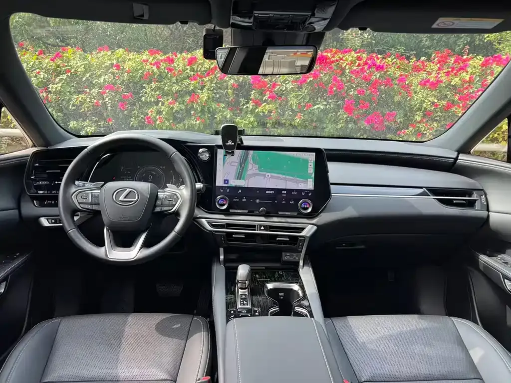 Lexus RX — фото 9