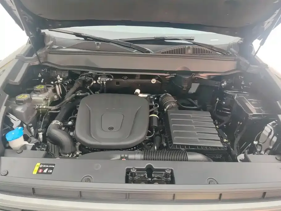 Haval Menglong New Energy 2024 из CN, фото 5