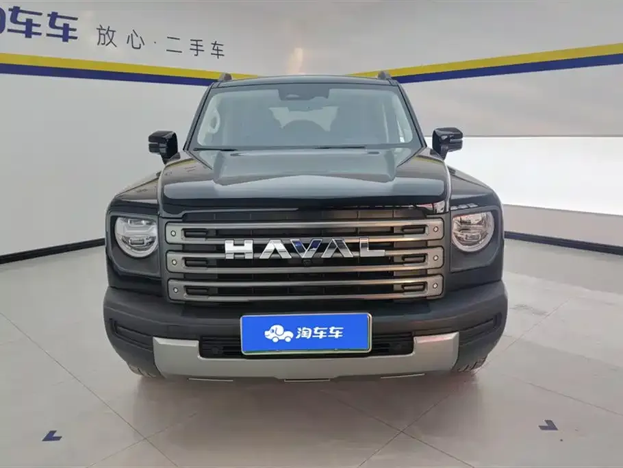 Haval Menglong New Energy 2024 из CN, фото 9