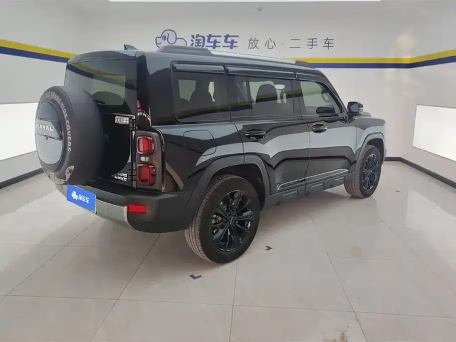 Haval Menglong New Energy 2024 из CN, фото 4