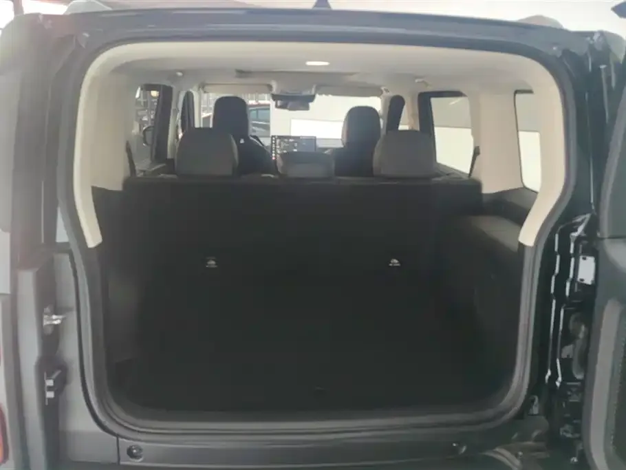 Haval Menglong New Energy 2024 из CN, фото 6