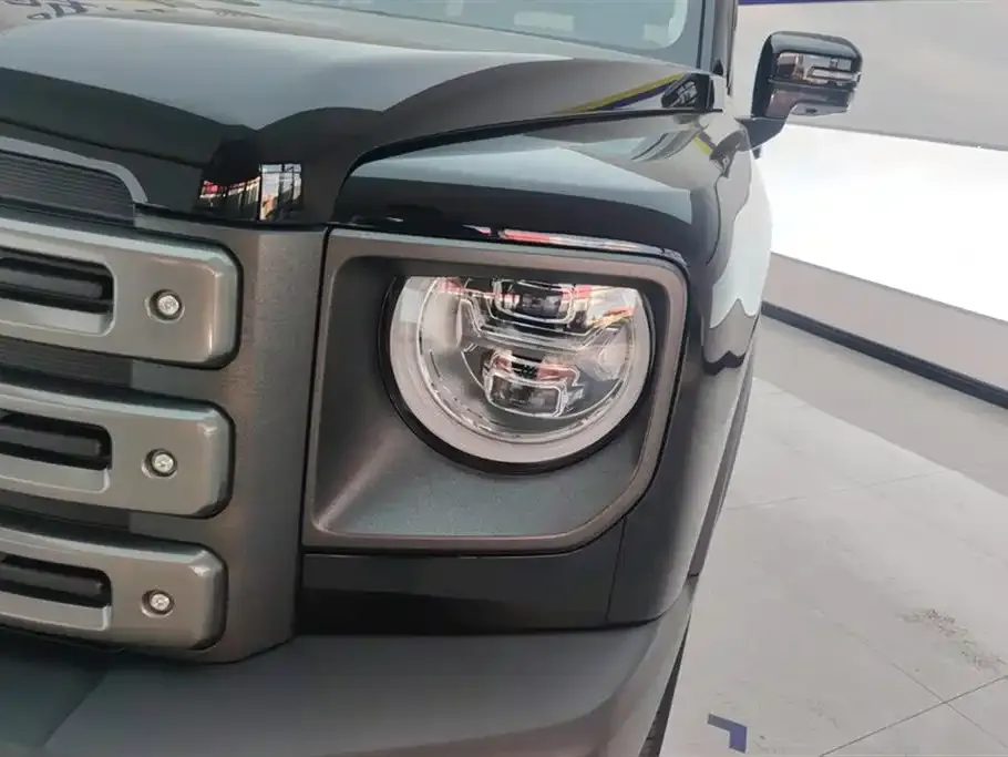 Haval Menglong New Energy 2024 из CN, фото 8