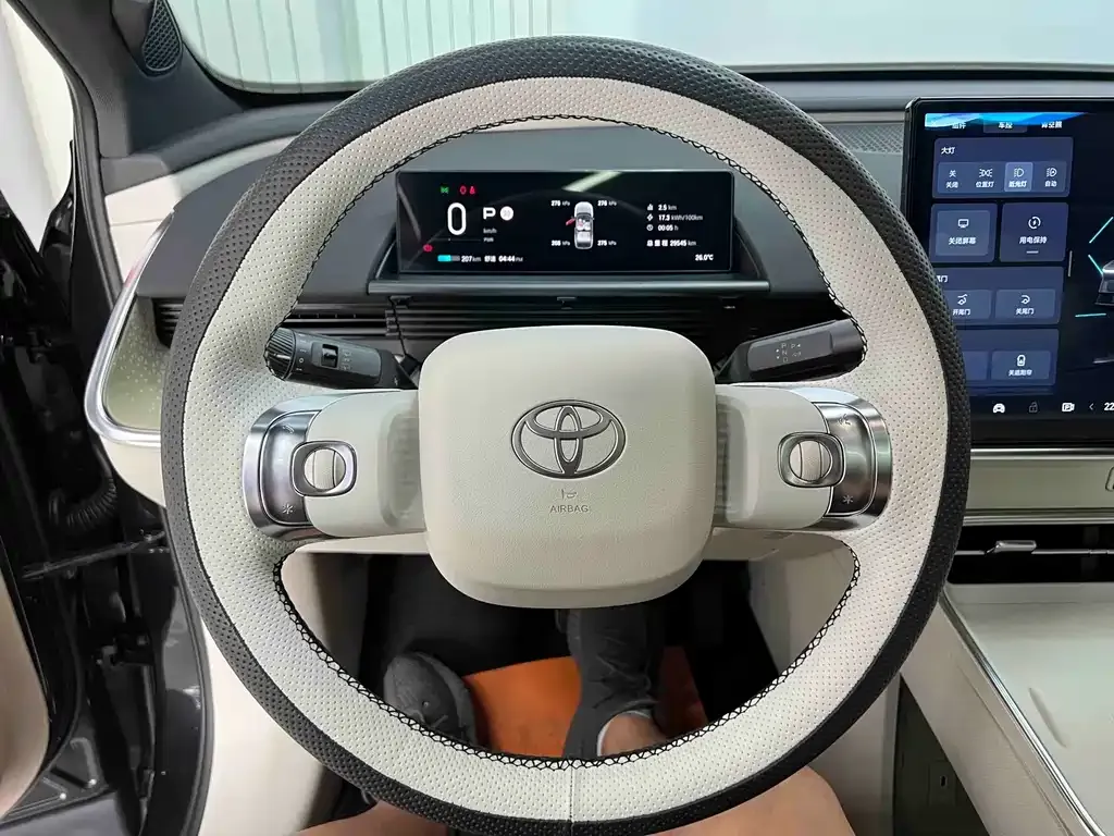 Toyota Platinum 3X — фото 9