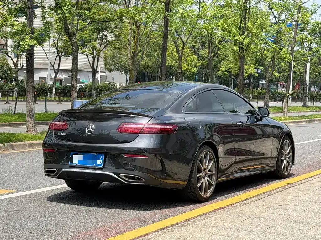 Mercedes-Benz E-Class (Import) — фото 6