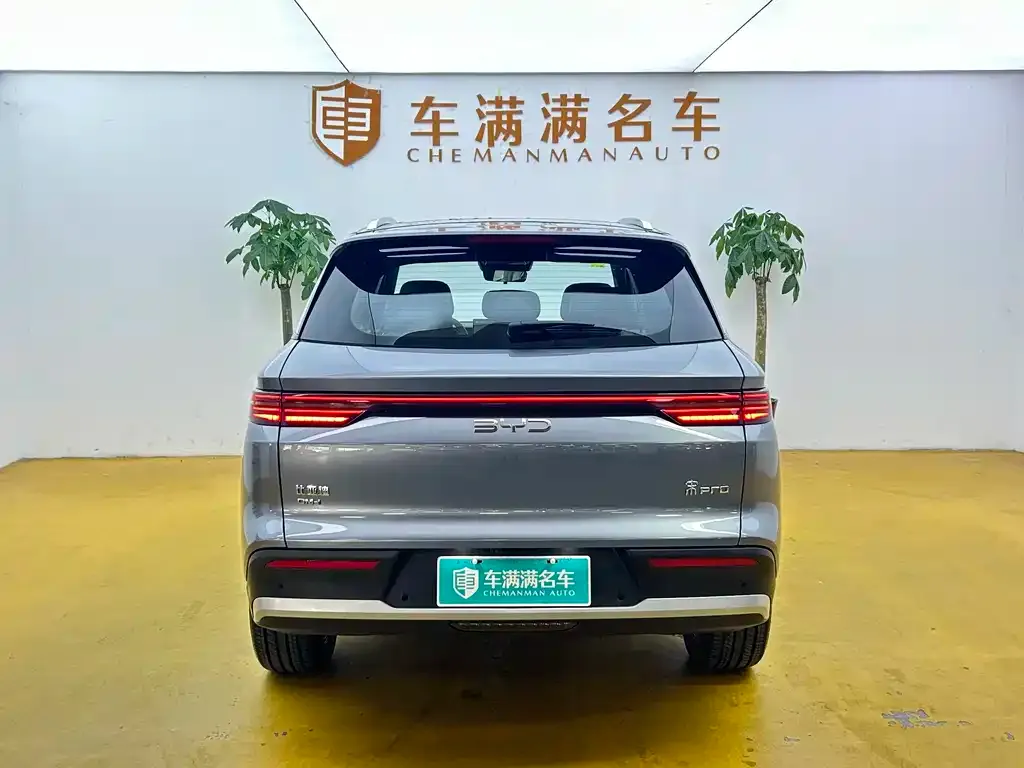 BYD Pro New Energy — фото 4