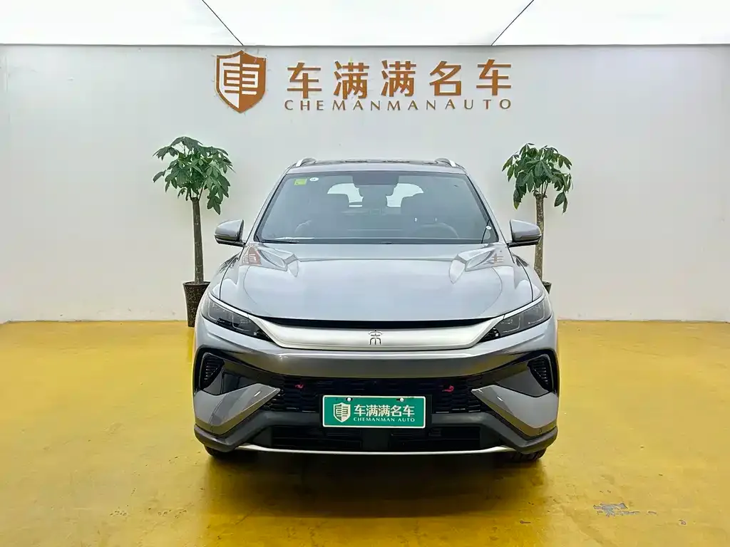 BYD Pro New Energy — фото 2