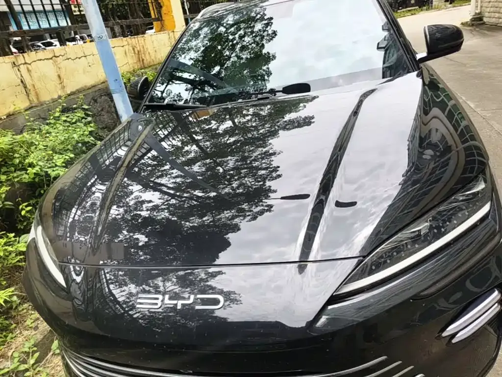 BYD PLUS New Energy — фото 10