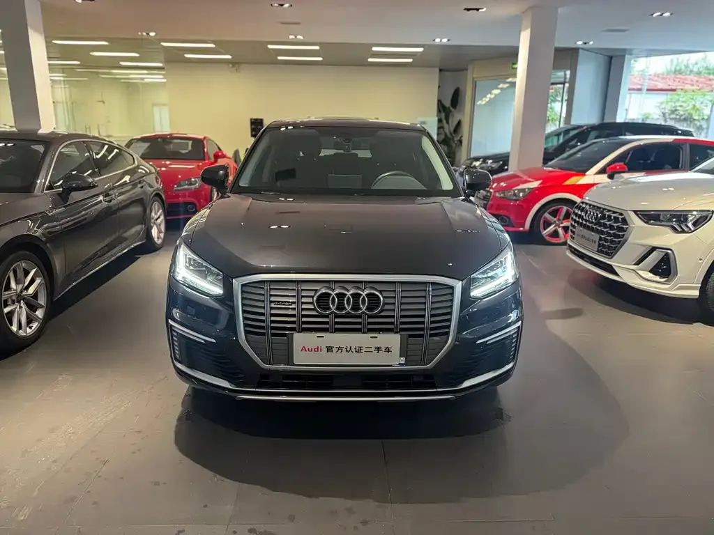 Audi Q2L e-tron 2021 из CN, фото 3
