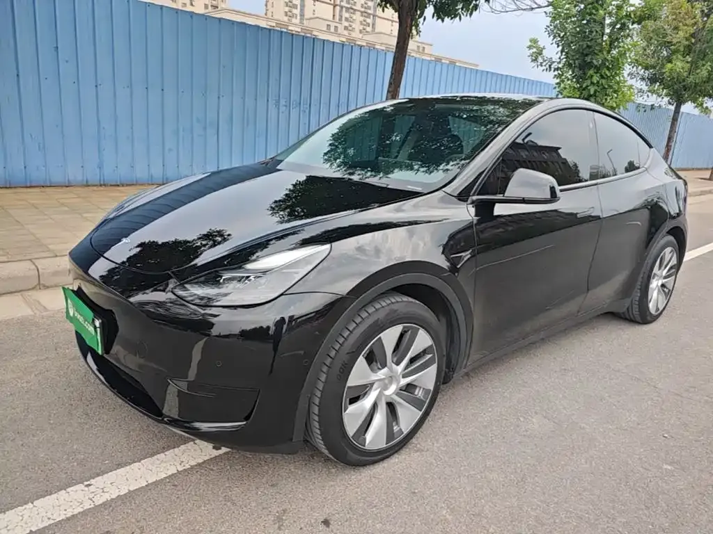 Tesla Model Y — фото 9