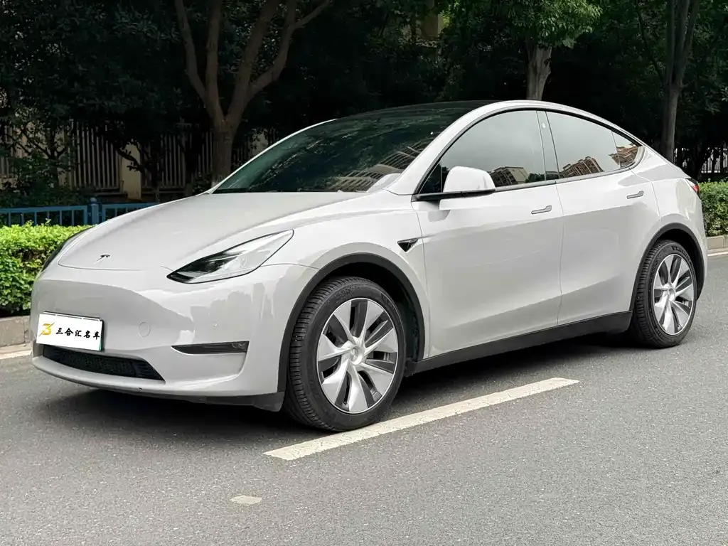 Tesla Model Y — фото 1