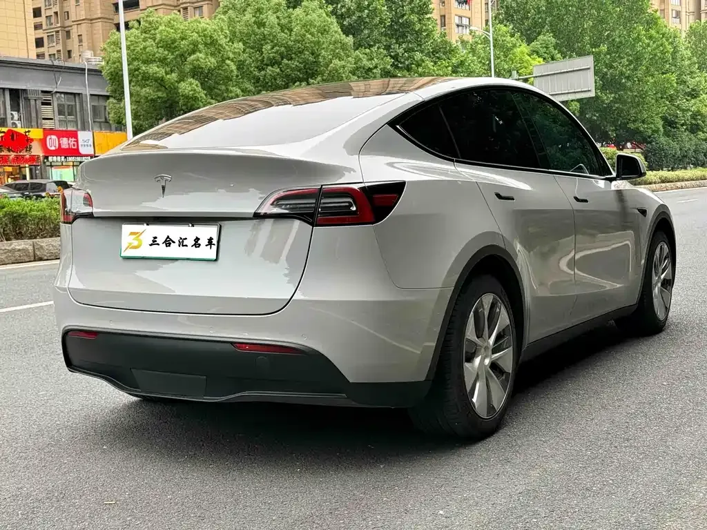 Tesla Model Y — фото 10