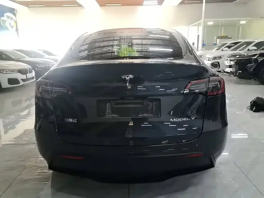 Tesla Model Y — фото 9