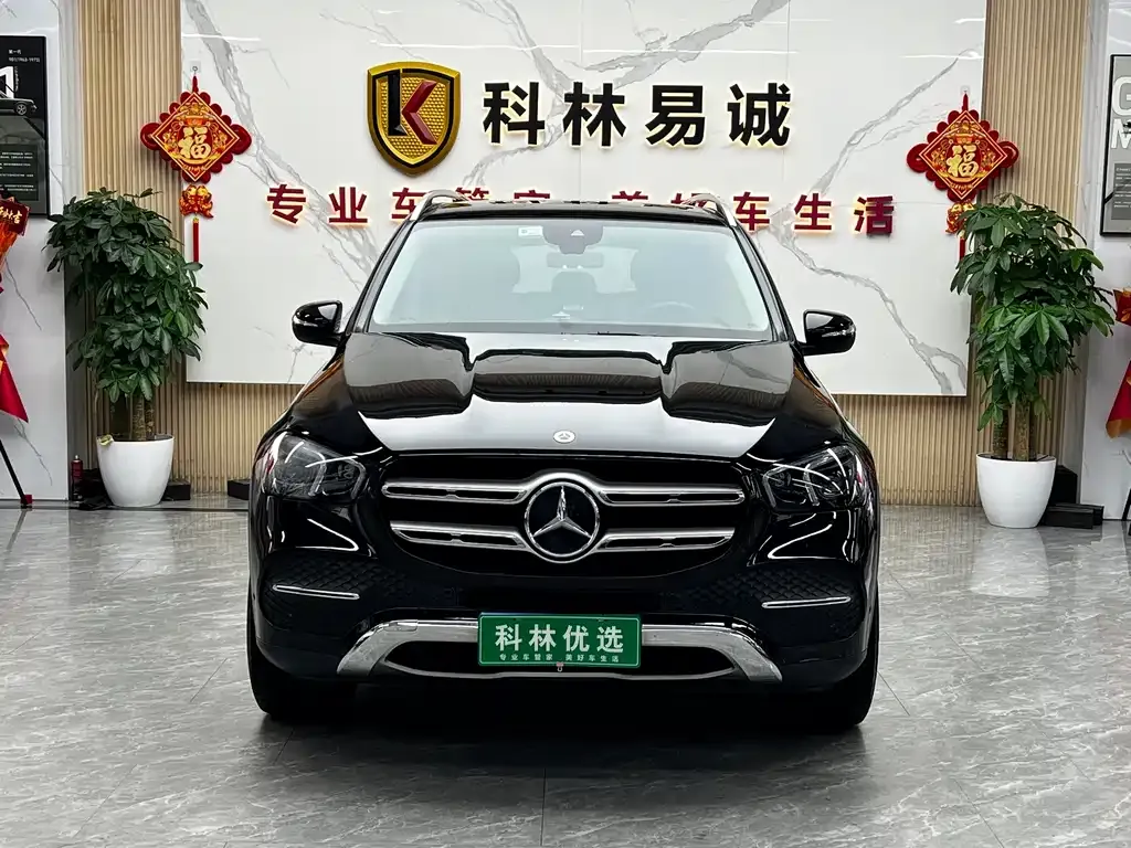 Mercedes-Benz 奔驰GLE(进口) — фото 9